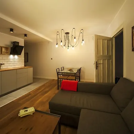 Very Berry - K Jadwigi 58 - Old Apartment, Self Check In 24h! Appartement Poznań